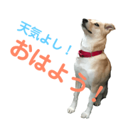yone hime