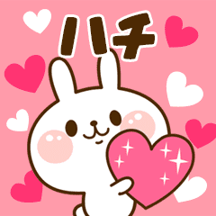 I Love "Hachi"!