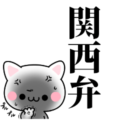 tanuchan Osaka cat