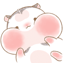 Panda Mouse_Animation