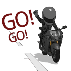 go! rider2 black