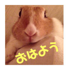 manausastanp