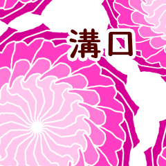 Mizoguchi and Flower