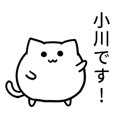 Ogawa's round maybe cat