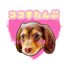 Puppy's Coco stamp