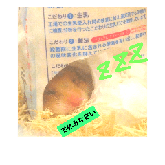 Hamster s  everyday(taru)