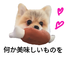 pontatomo2