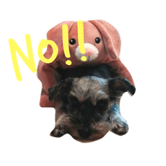 NANACHAN!!!