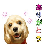 milk&purin