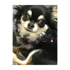 ankosan.