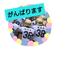 YOKOSUKAboy