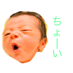 rin1258