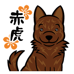 甲斐犬 赤虎スタンプ Line スタンプ Line Store