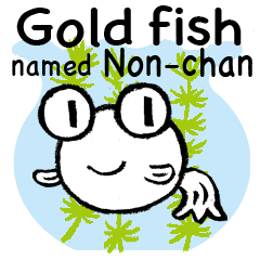 Goldfish named Non-chan in english