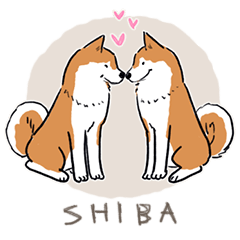 Every Day Dog SHIBA Eng