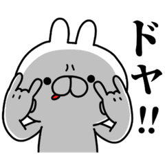 tanuchan Osaka rabbit3