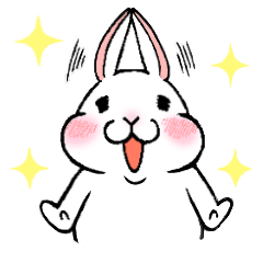 Cute and Funny Rabbit