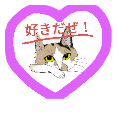 Myself Cat