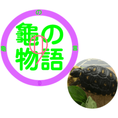 Turtle Story 9
