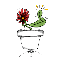 Flower pots and flowers