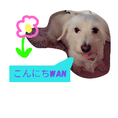 moko!!