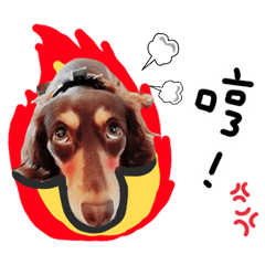 傻郎史咚
