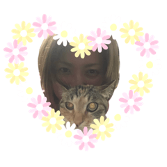 Cat of my house2