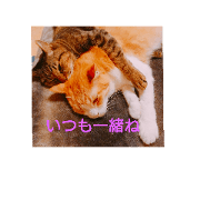 Sticker00000556