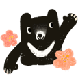Black Bear Taiwan