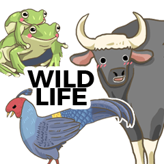 Wildlife friends