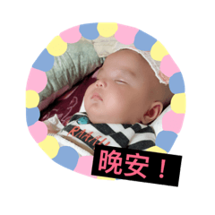 安安 安琪