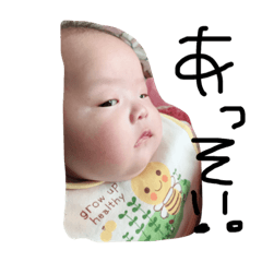 shikinopi