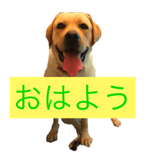 raburadouru
