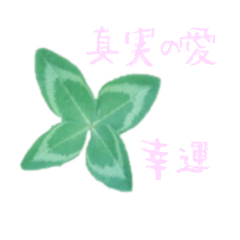 Language of flower 1