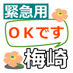 取急ぎ返信用【梅崎.うめざき】専用