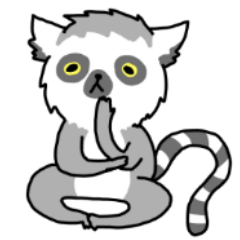 I like Ring-tailed Lemur 2