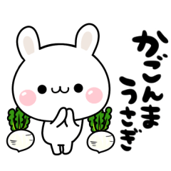 TANUCHAN KAGOSHIMA Rabbit