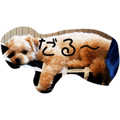 TYIMU