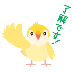 Happy yellow parakeet