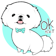 ペキニーズの白いの Line スタンプ Line Store ペキニーズの白いの Line スタンプ Line Store