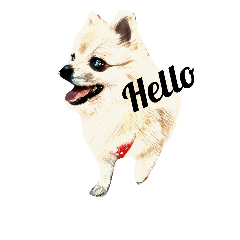everyday language dog New Pei
