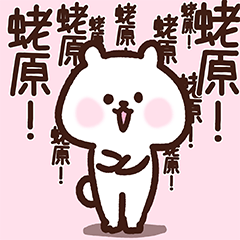 Ebiwara Cute White Bear Line 스티커 Line Store