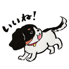 犬のチャコ Line スタンプ Line Store 犬のチャコ Line スタンプ Line Store