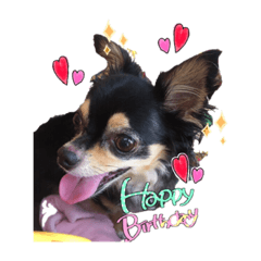 Apricot is dog stamp