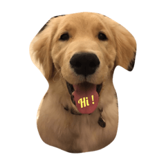 花生米寶寶的成長日記...