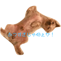 kO-mu-gI