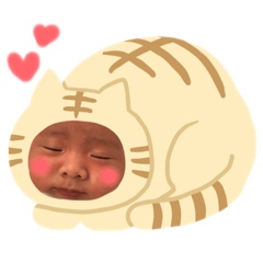 Hanachan0512