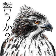 日本の野鳥4