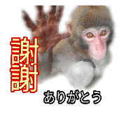 Monkeys chinese is a simple sticker