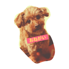 Kurumi's Sticker(Basic)